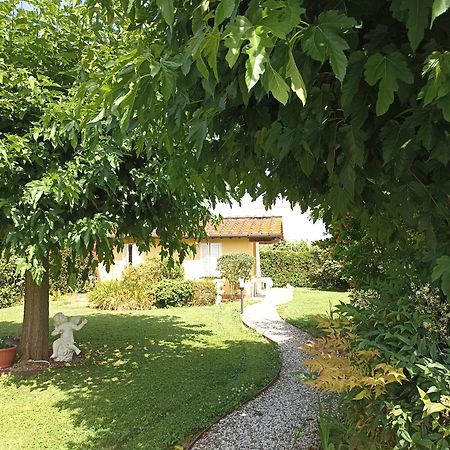 Piscina Privata Tiger Home, Toscana Capannori Buitenkant foto