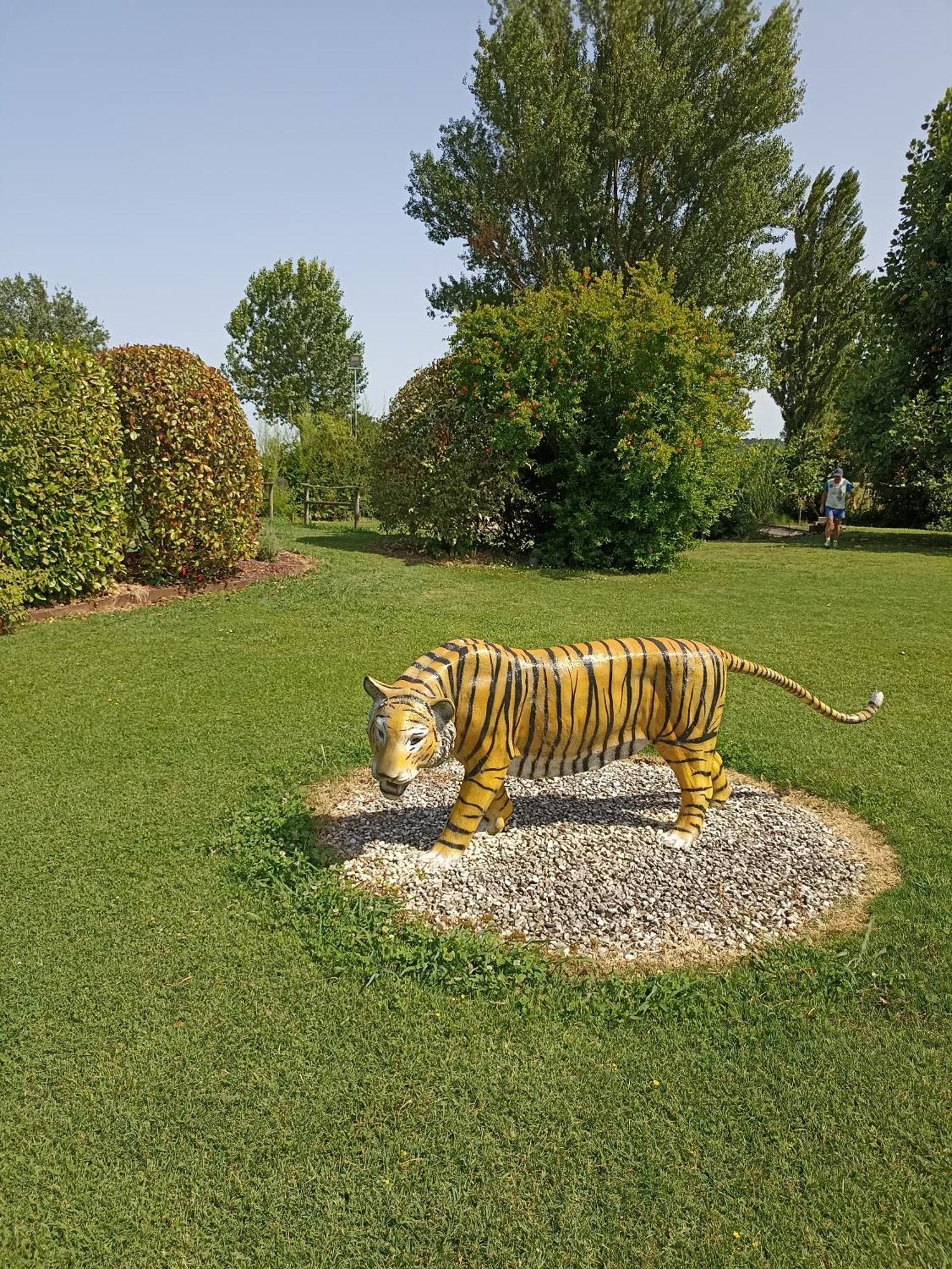 Piscina Privata Tiger Home, Toscana Capannori Buitenkant foto